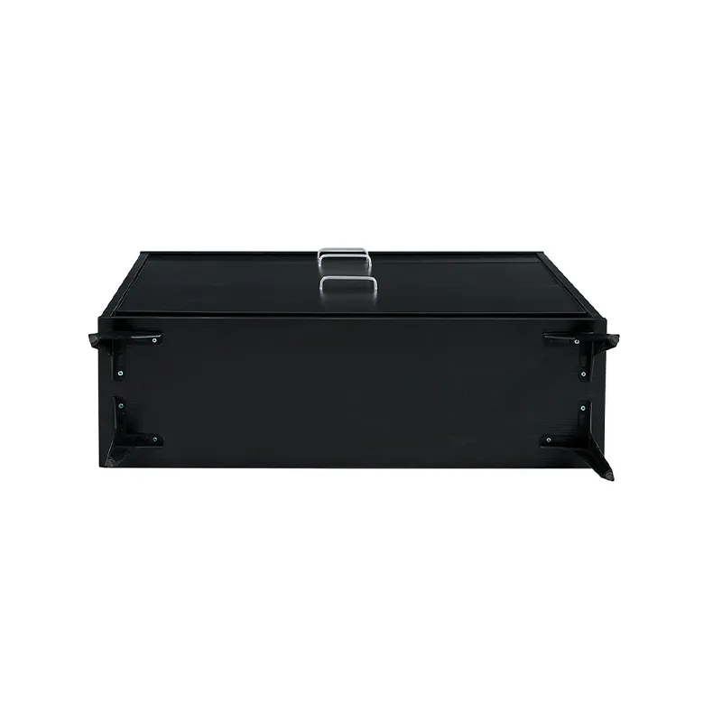 31.5" Modern Black Wooden Shoe Storage Cabinet with 2 Flip Drawers & Metal Legs