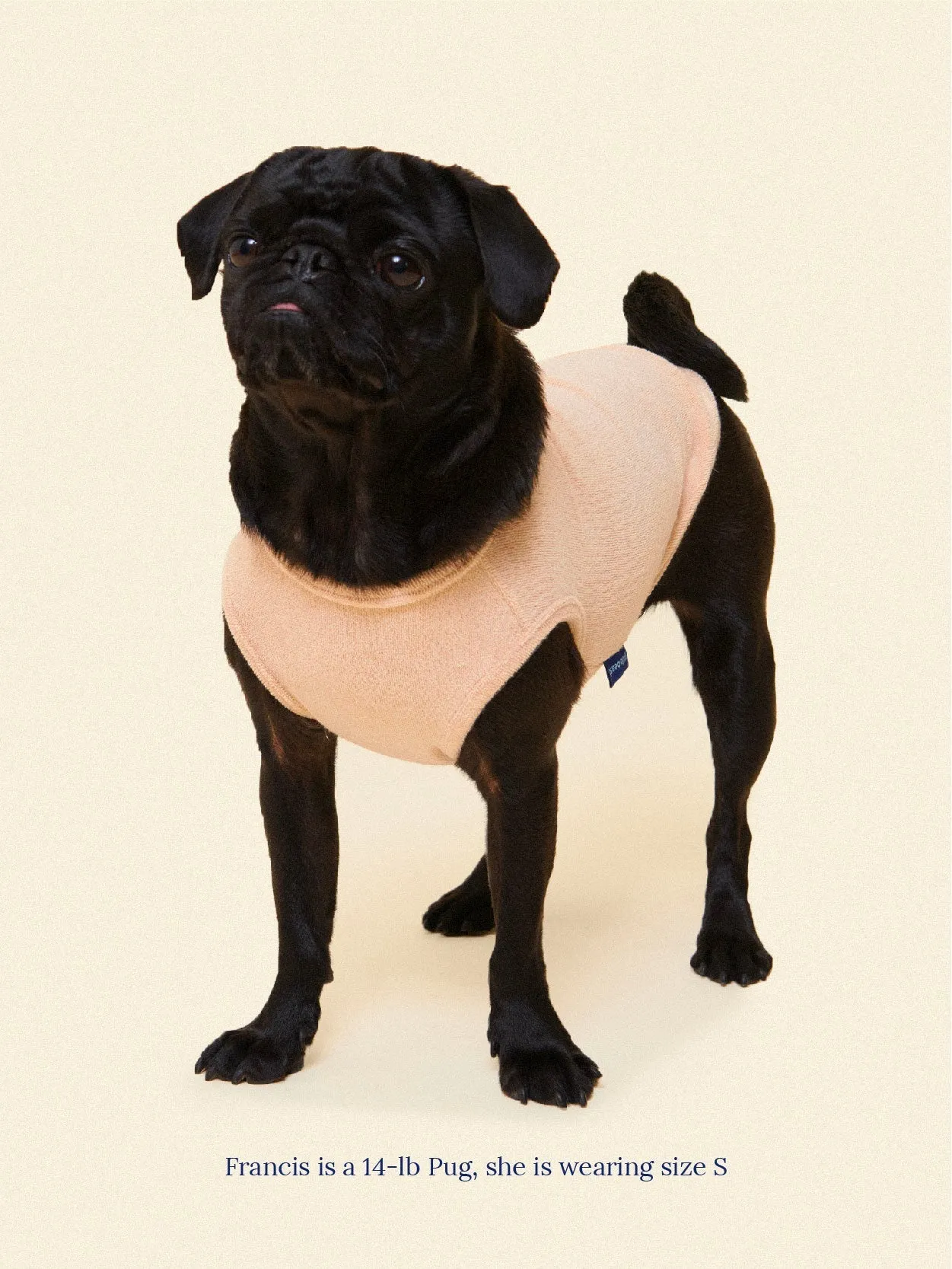 ADEDAS Sleeveless Shirt - Beige
