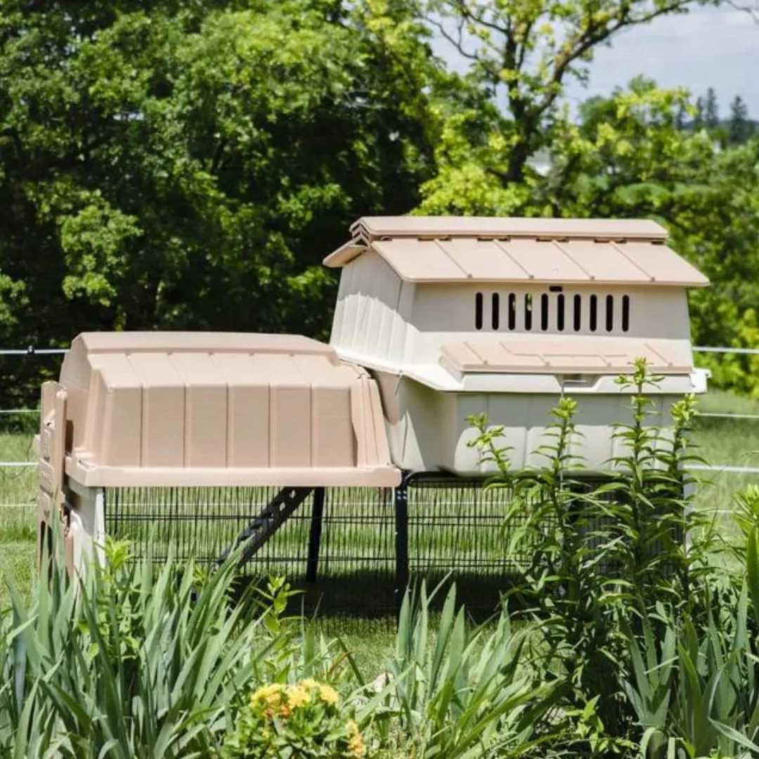 Ultimate Chicken Coop w/feeder and waterer (up to 6 chickens)