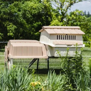 Ultimate Chicken Coop w/feeder and waterer (up to 6 chickens)