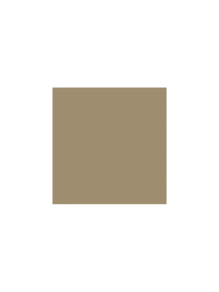 WES Casuals Beige Relaxed Fit Cargo Shorts